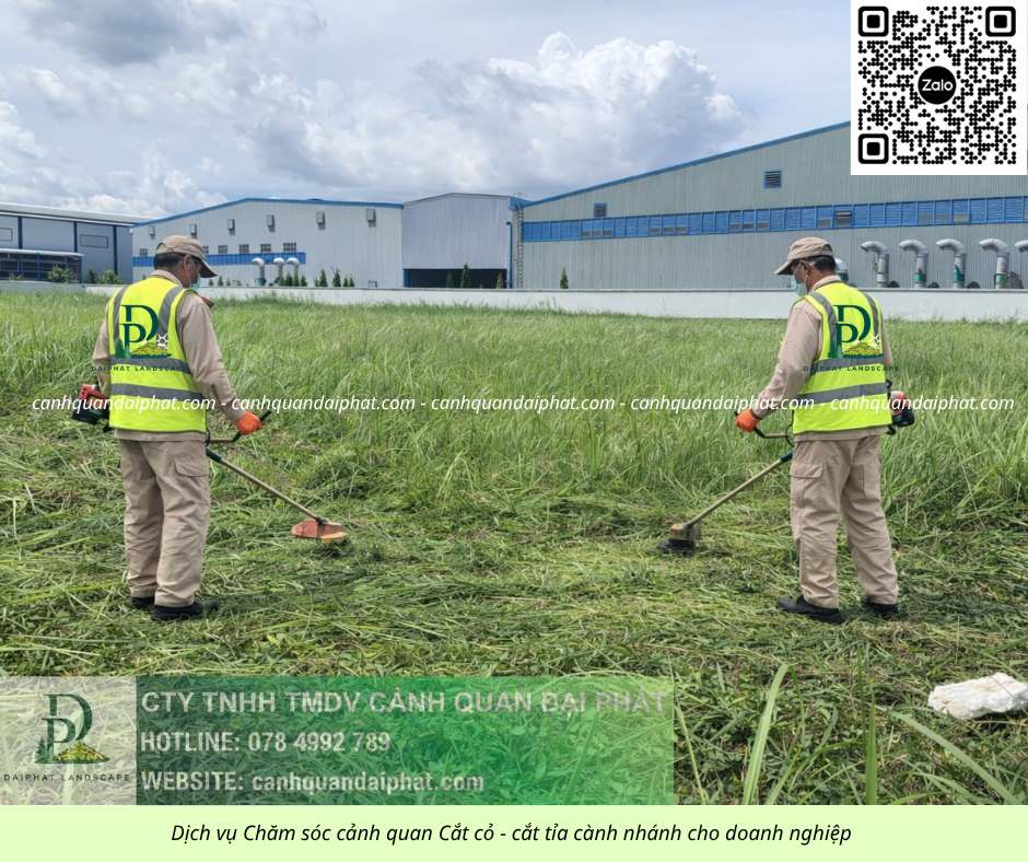 05. Dịch vụ cưa cây cắt cỏ doanh nghiệp đồng nai 050226 1.jpg