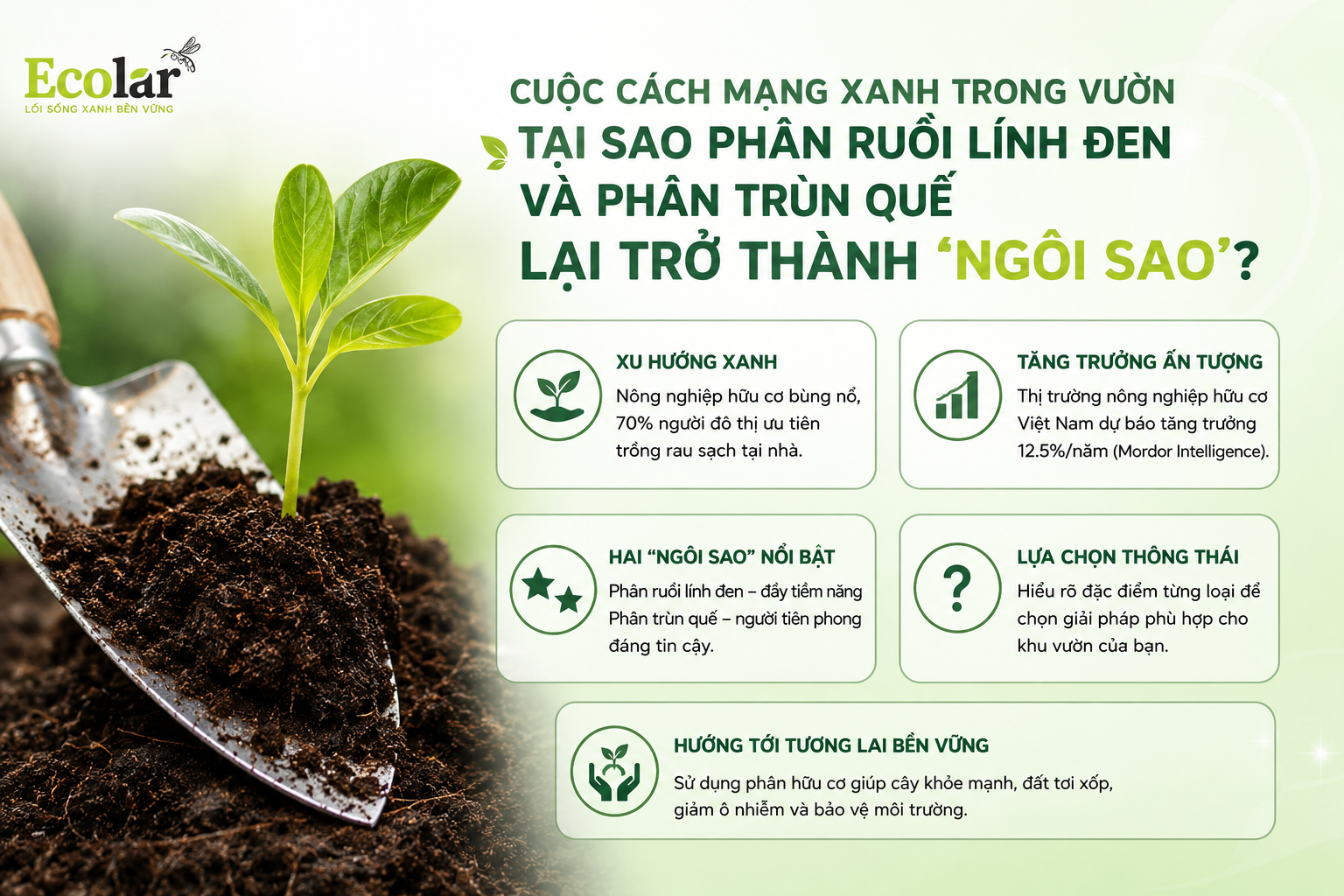 -phan-trun-que-lai-tro-thanh-ngoi-sao_8fdd848d17834928870bfb049913958c.png
