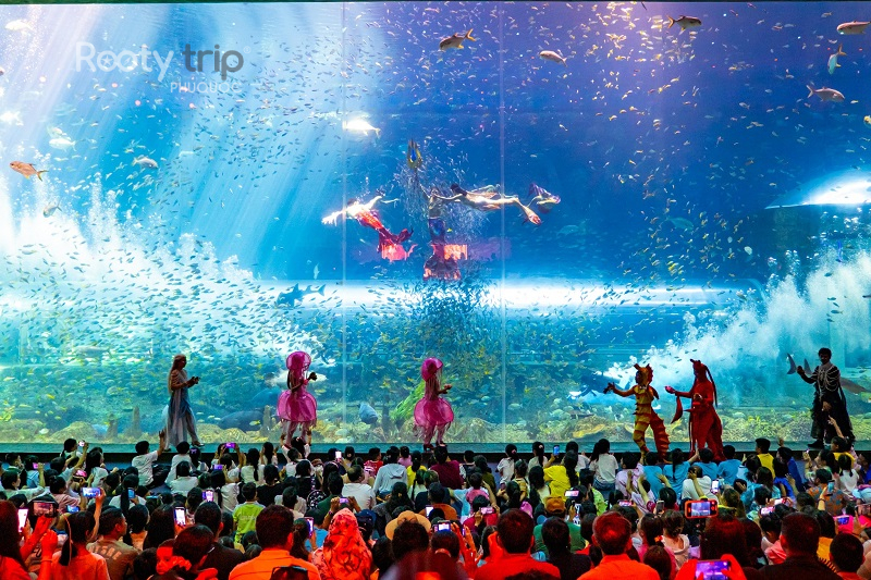 show-tien-ca-vinwonders-tour-3n2d-ve-tau-khu-hoi-rach-gia-phu-quoc.jpg