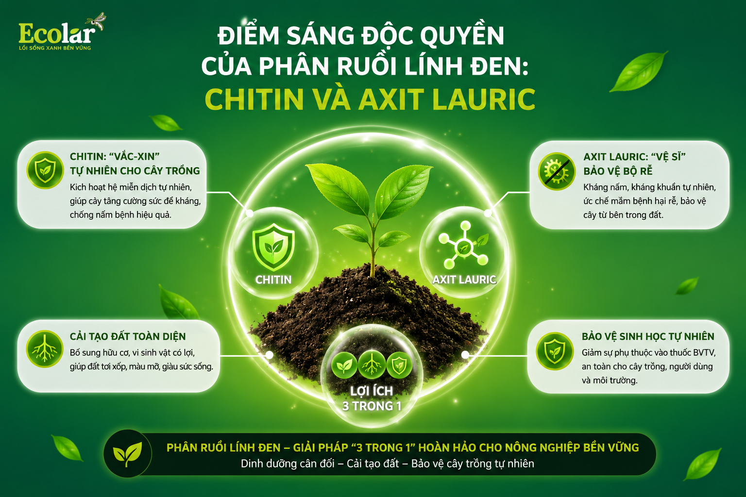 n-ruoi-linh-den-chitin-va-axit-lauric_6d01078d8ad9442dba532525333bea64.png