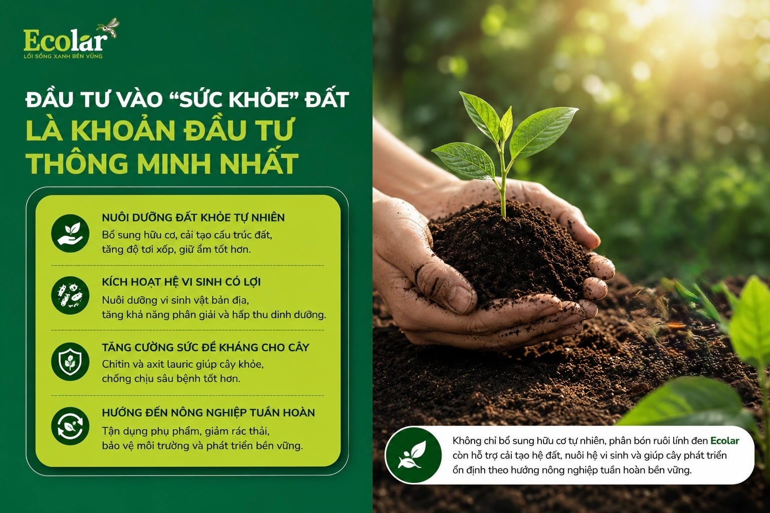 e-dat-la-khoan-dau-tu-thong-minh-nhat_6540f520ff6740f48e283e326e1721e0.jpg