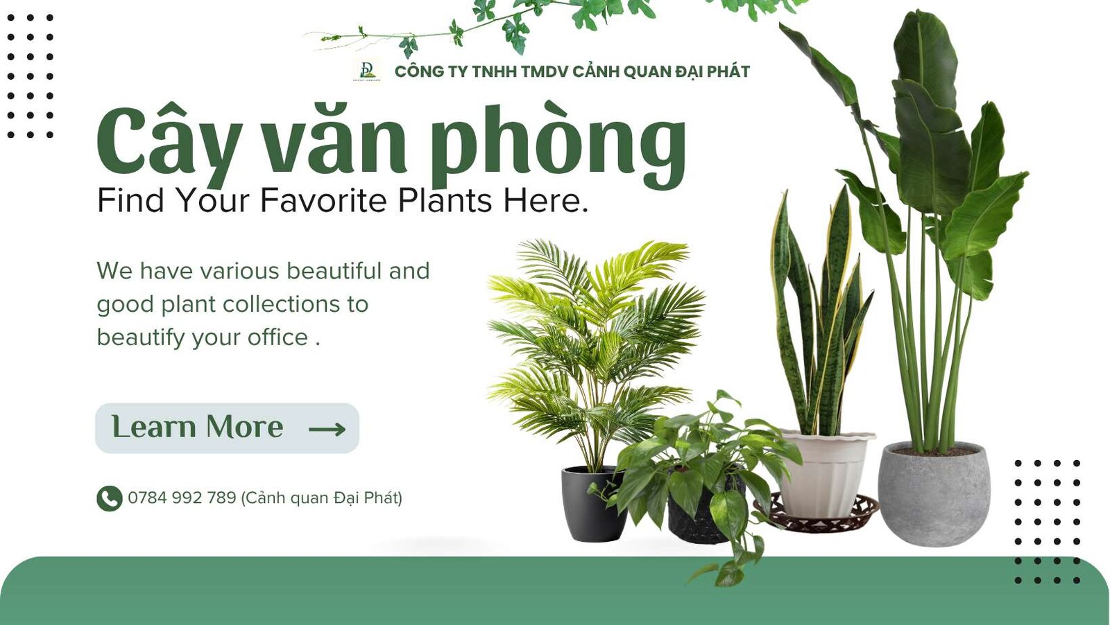 Cung cấp cây xanh văn phòng 070426 2.jpg