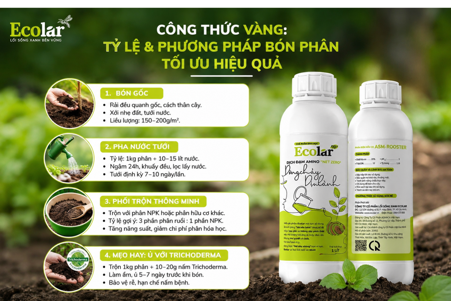 -phuong-phap-bon-phan-toi-uu-hieu-qua_51b93dfd748c4d7b956d1a2dc96a7bd1.png