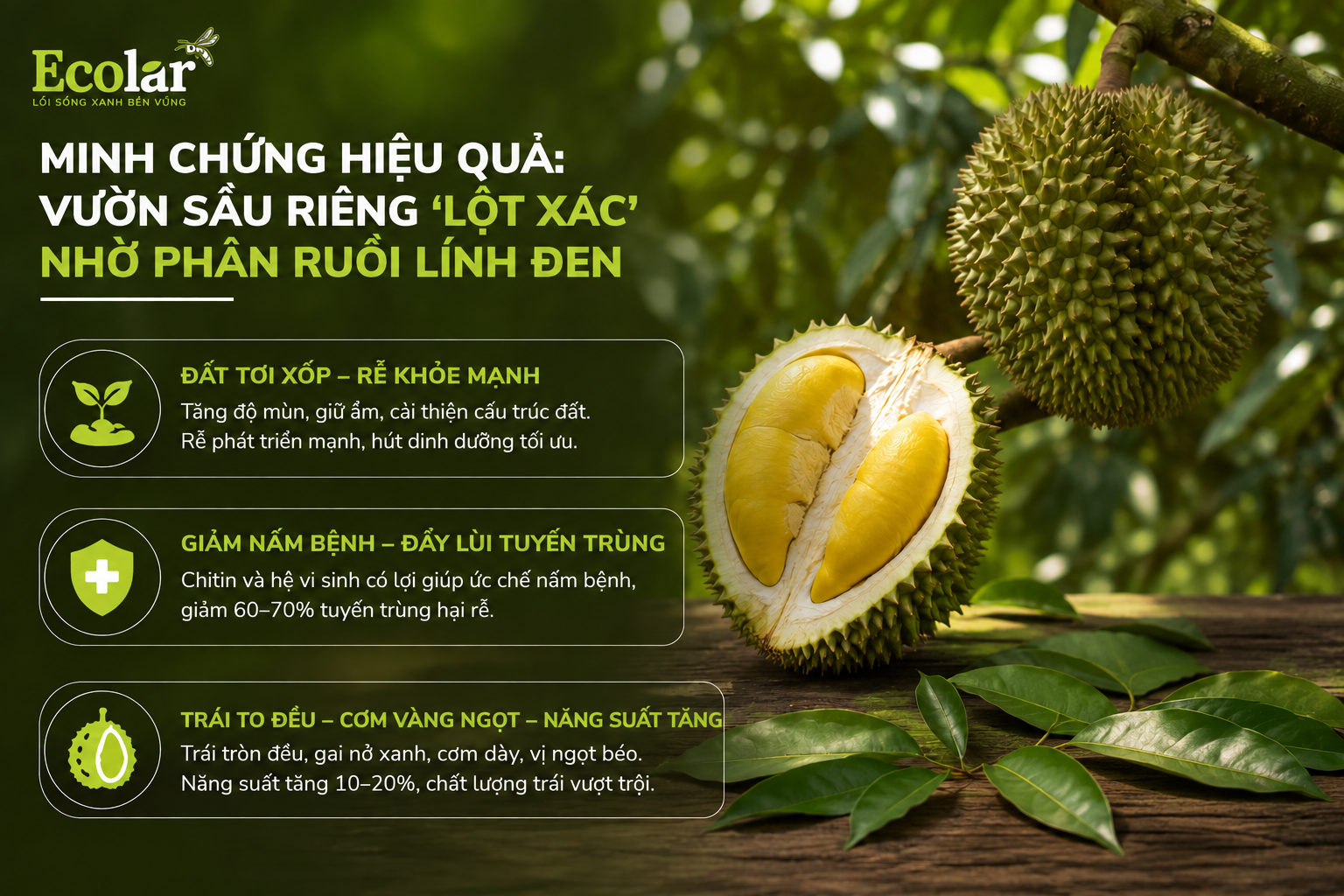 -rieng-lot-xac-nho-phan-ruoi-linh-den_c1de74431062462988c5a4e068217644.png