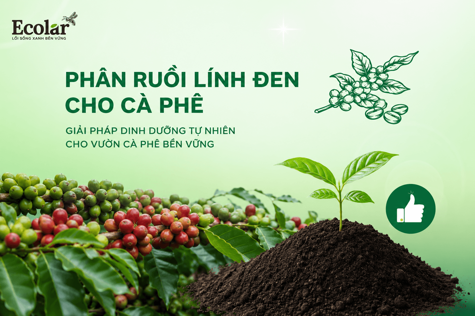 phan-ruoi-linh-den-cho-ca-phe-giai-phap-cai-tao-dat-bac-mau_8622c1e79c4949ab9f7eb480d24bde20 (1).png
