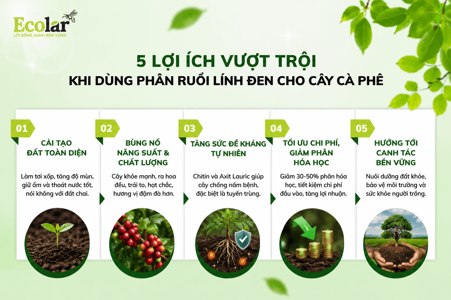 ung-phan-ruoi-linh-den-cho-cay-ca-phe_dcaac11c313a44a581952447f31d6ada (1) (1).png