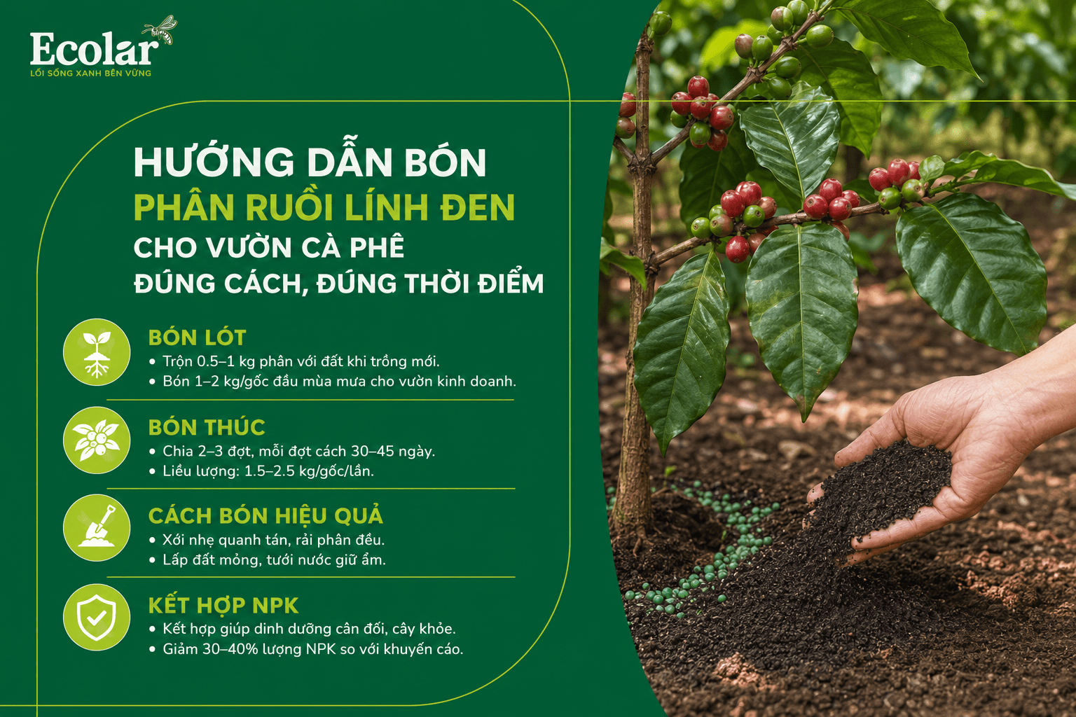 -vuon-ca-phe-dung-cach-dung-thoi-diem_20ff8ad97da2449ab991a6113bc94171 (1) (1).png