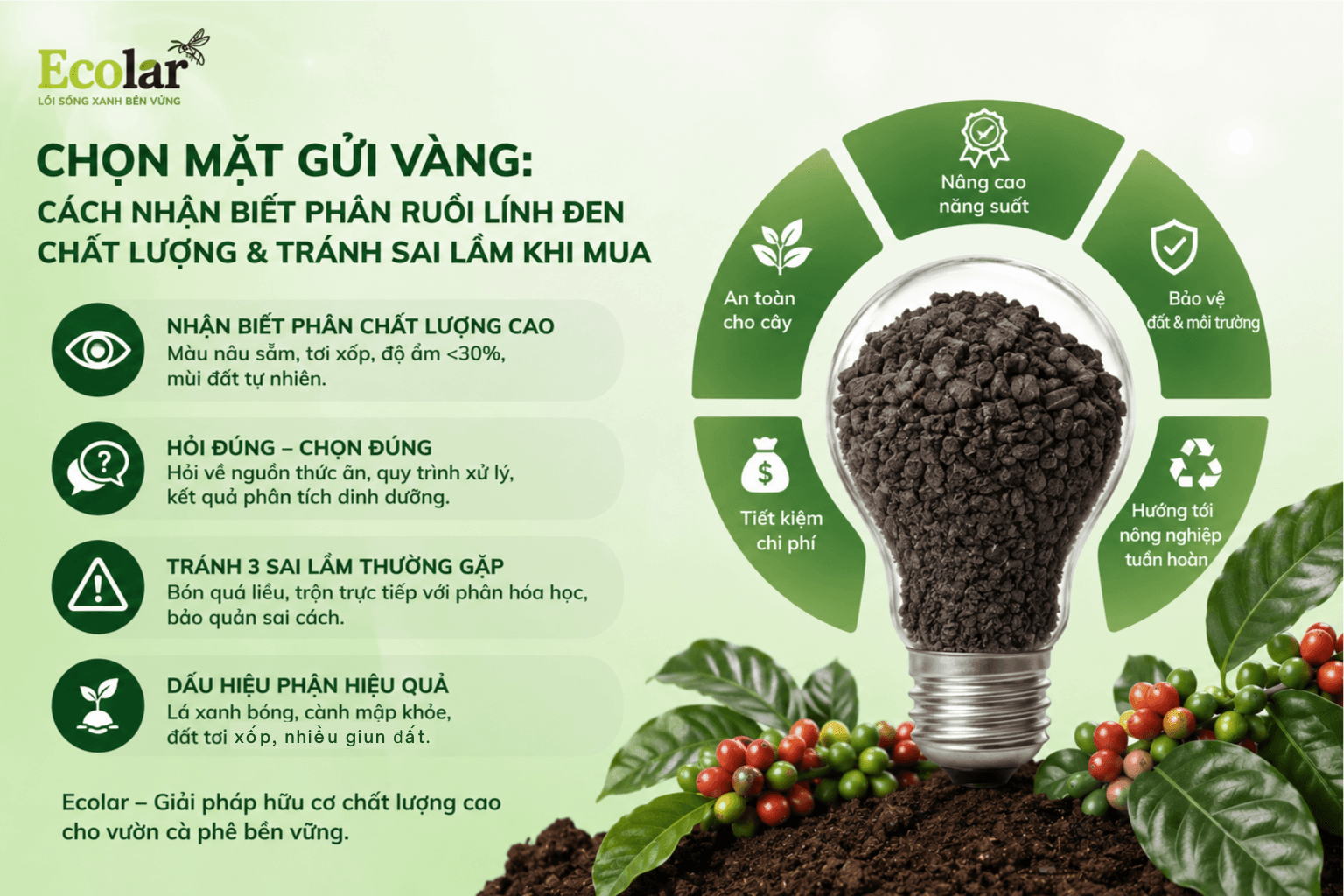 n-chat-luong-va-tranh-sai-lam-khi-mua_7189bbb23c044c7fa11b6c01d5bad624 (1) (1).png