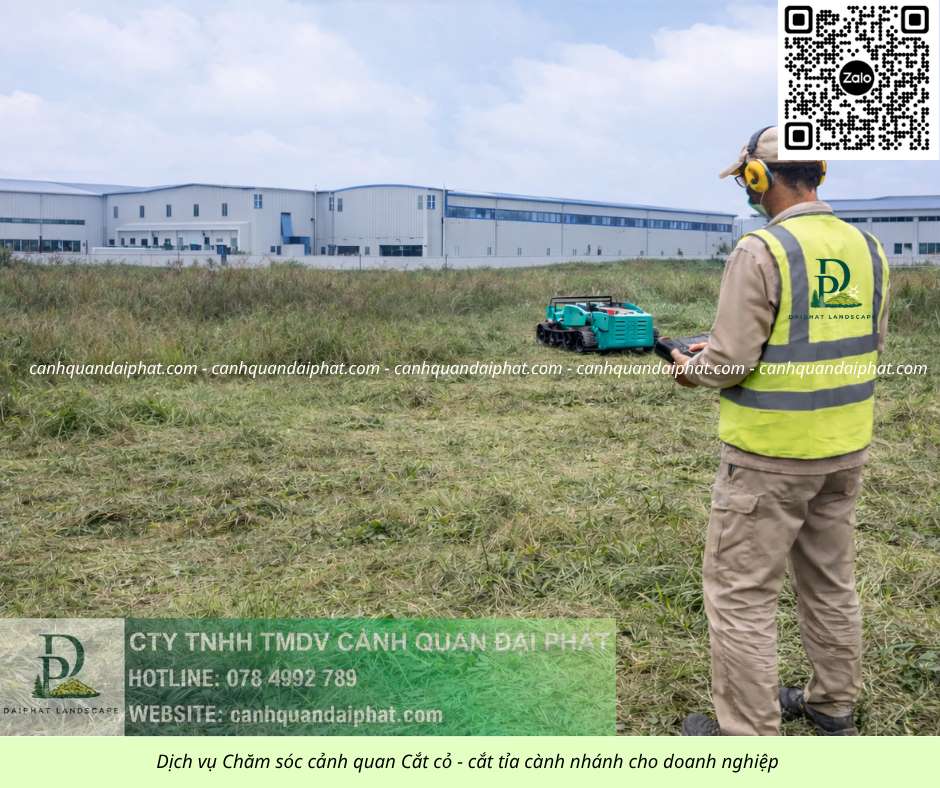 0.Dịch vụ cưa cây cắt cỏ doanh nghiệp đồng nai 050226 6.jpg