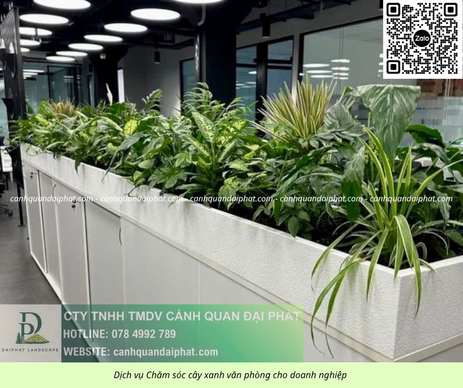 Chăm sóc cây xanh văn phòng 300526 3.jpg