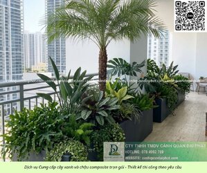 Thiết kế thi công cảnh quan chậu Composite 01052026 2.jpg