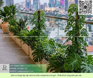 Thiết kế thi công cảnh quan chậu Composite 01052026 4.jpg