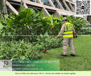 Dịch vụ cưa cây cắt cỏ doanh nghiệp đồng nai 050226 3.jpg
