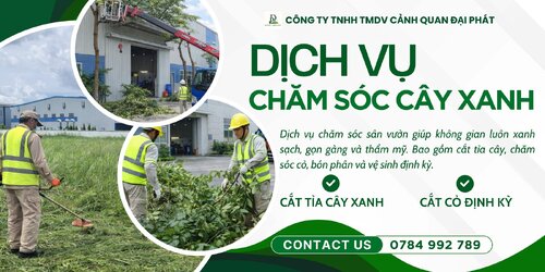 0. dịch vụ cưa cây cắt cỏ 070426 3.jpg