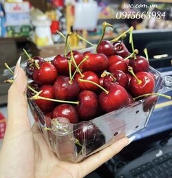Hop-dung-cherry.jpg