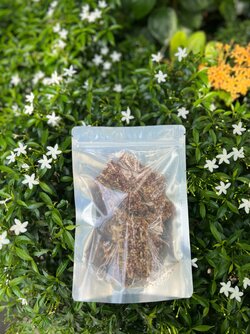 IMG_0361 (1).JPG