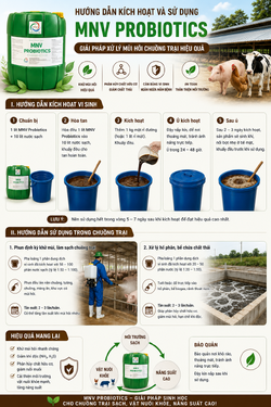 ChatGPT Image 09_49_57 11 thg 5, 2026.png