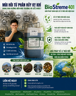 ChatGPT Image 09_40_33 13 thg 5, 2026.png