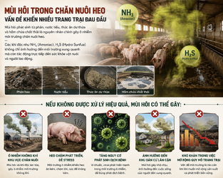 ChatGPT Image 09_45_13 12 thg 5, 2026.png