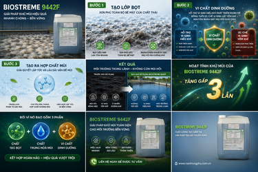 ChatGPT Image 10_06_48 7 thg 5, 2026.png