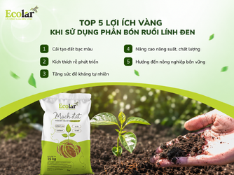 ng-khi-su-dung-phan-bon-ruoi-linh-den_b206bbac33af45918994a932798336ad.png