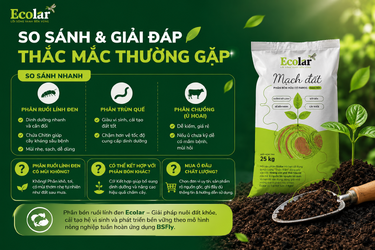 -sanh-va-giai-dap-thac-mac-thuong-gap_63abbbd9346e4051a21e5f963fc234d1.png