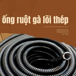Chưa có tên (1200 x 1200 px) (48).jpg