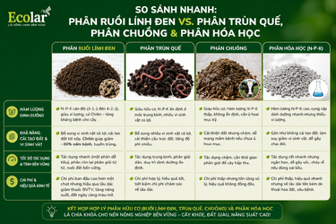 -trun-que-phan-chuong-va-phan-hoa-hoc_480adcf0e7d54a1bbe598bb143c5584c.png