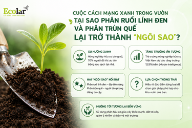 -phan-trun-que-lai-tro-thanh-ngoi-sao_8fdd848d17834928870bfb049913958c.png