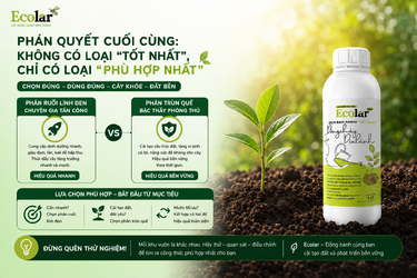 oai-tot-nhat-chi-co-loai-phu-hop-nhat_a1c3d53ad373459bbd72f505dbf0b61e.png