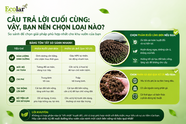 i-cuoi-cung-vay-ban-nen-chon-loai-nao_47e9448b3e9645f68e660cd9c5aec0fd.png