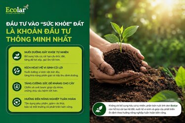 e-dat-la-khoan-dau-tu-thong-minh-nhat_6540f520ff6740f48e283e326e1721e0.jpg