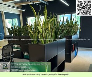 Chăm sóc cây xanh văn phòng 300526 8.jpg Chăm sóc cây xanh văn phòng 300526 8.jpg
