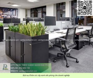 Chăm sóc cây xanh văn phòng 300526 9.jpg Chăm sóc cây xanh văn phòng 300526 9.jpg