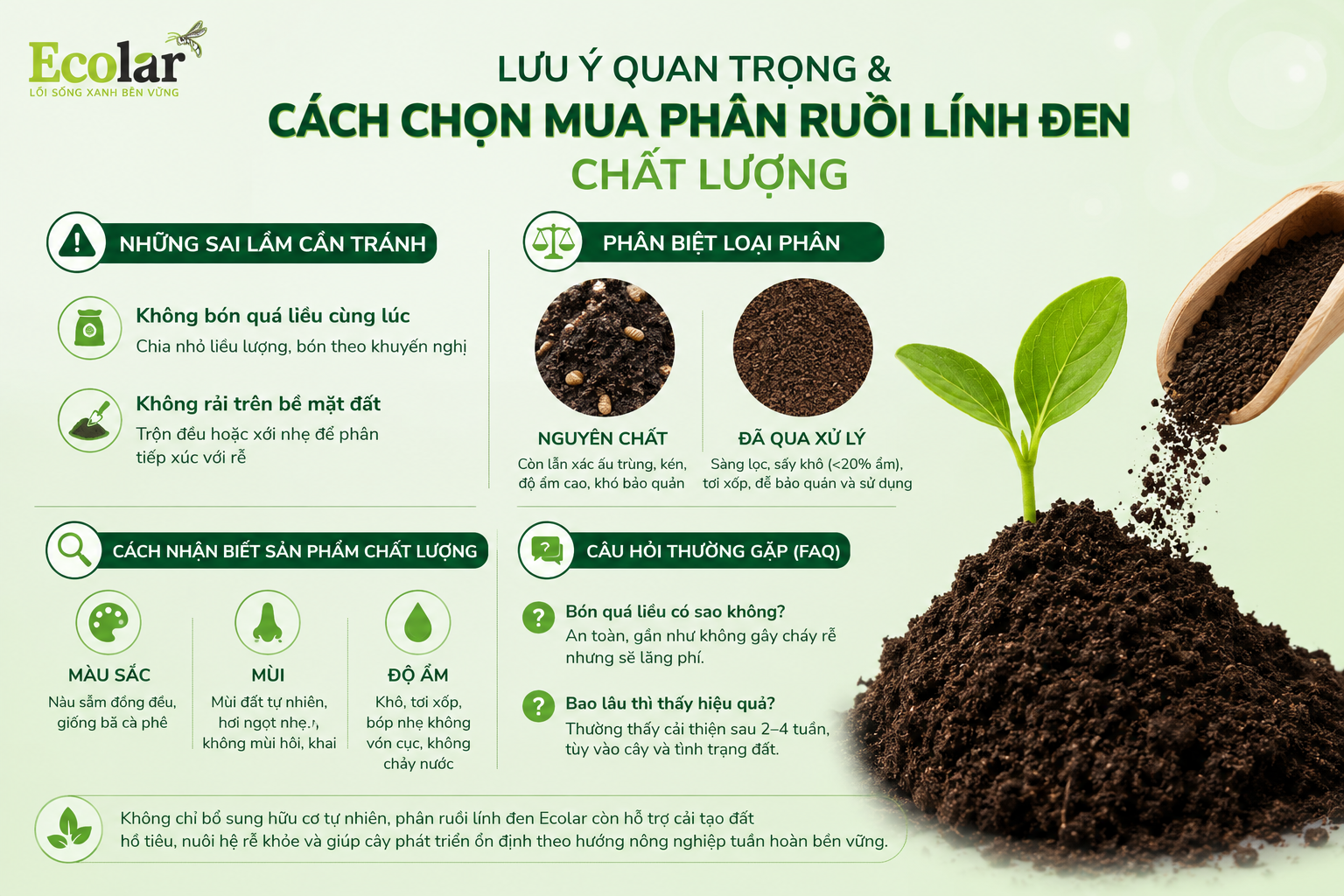 hon-mua-phan-ruoi-linh-den-chat-luong_a7fabb8e6d89432383f9d834594b4488.png