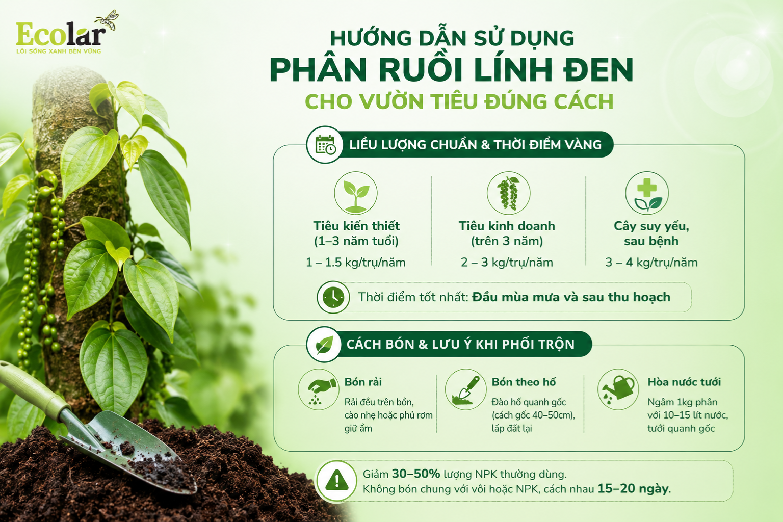 ruoi-linh-den-cho-vuon-tieu-dung-cach_5214ad4a55eb4fbf8c1236831cc3bccc.png