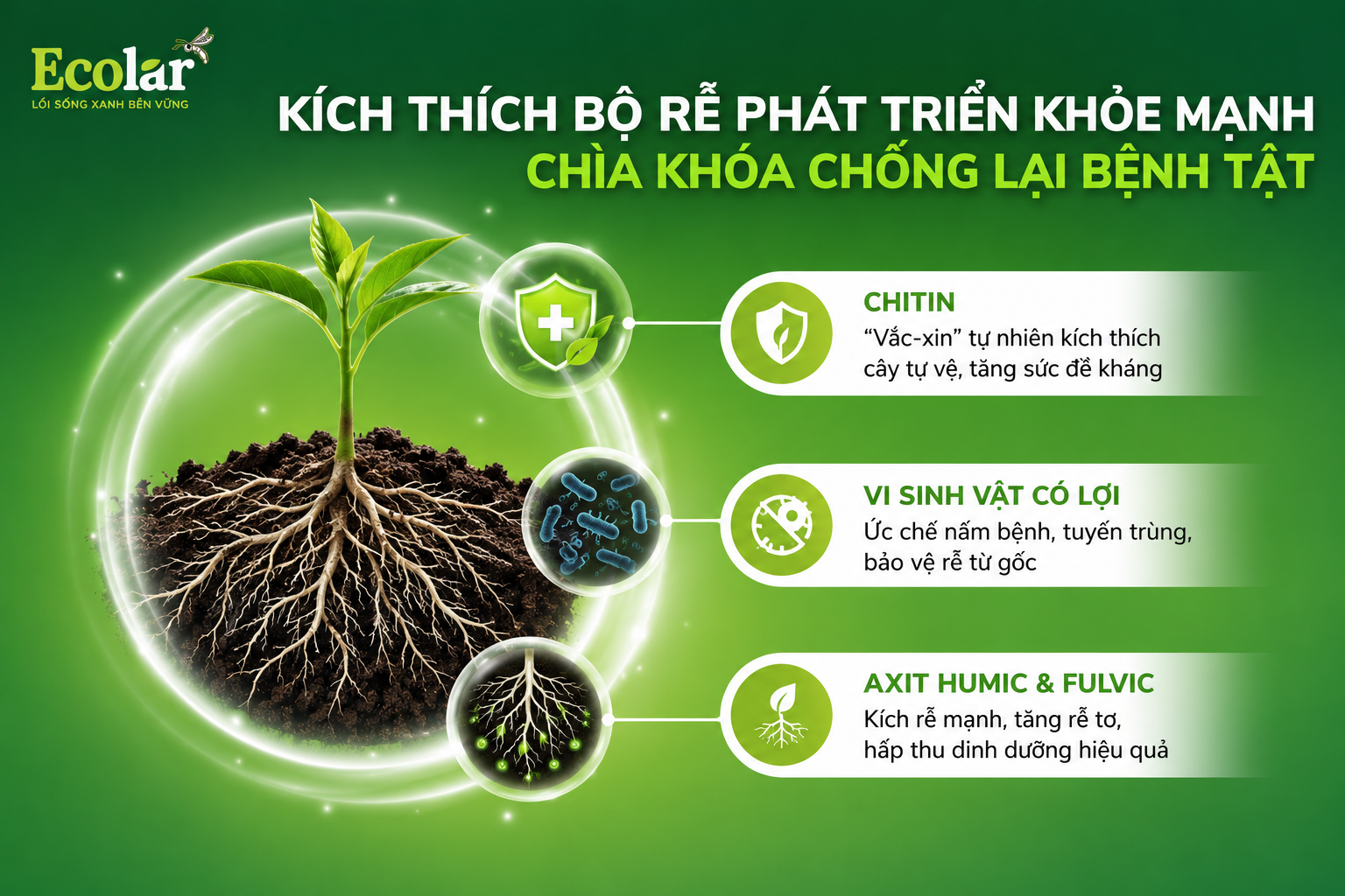 hoe-manh-chia-khoa-chong-lai-benh-tat_cb8c21739ad34bd5ba4e47b642ff613b.png