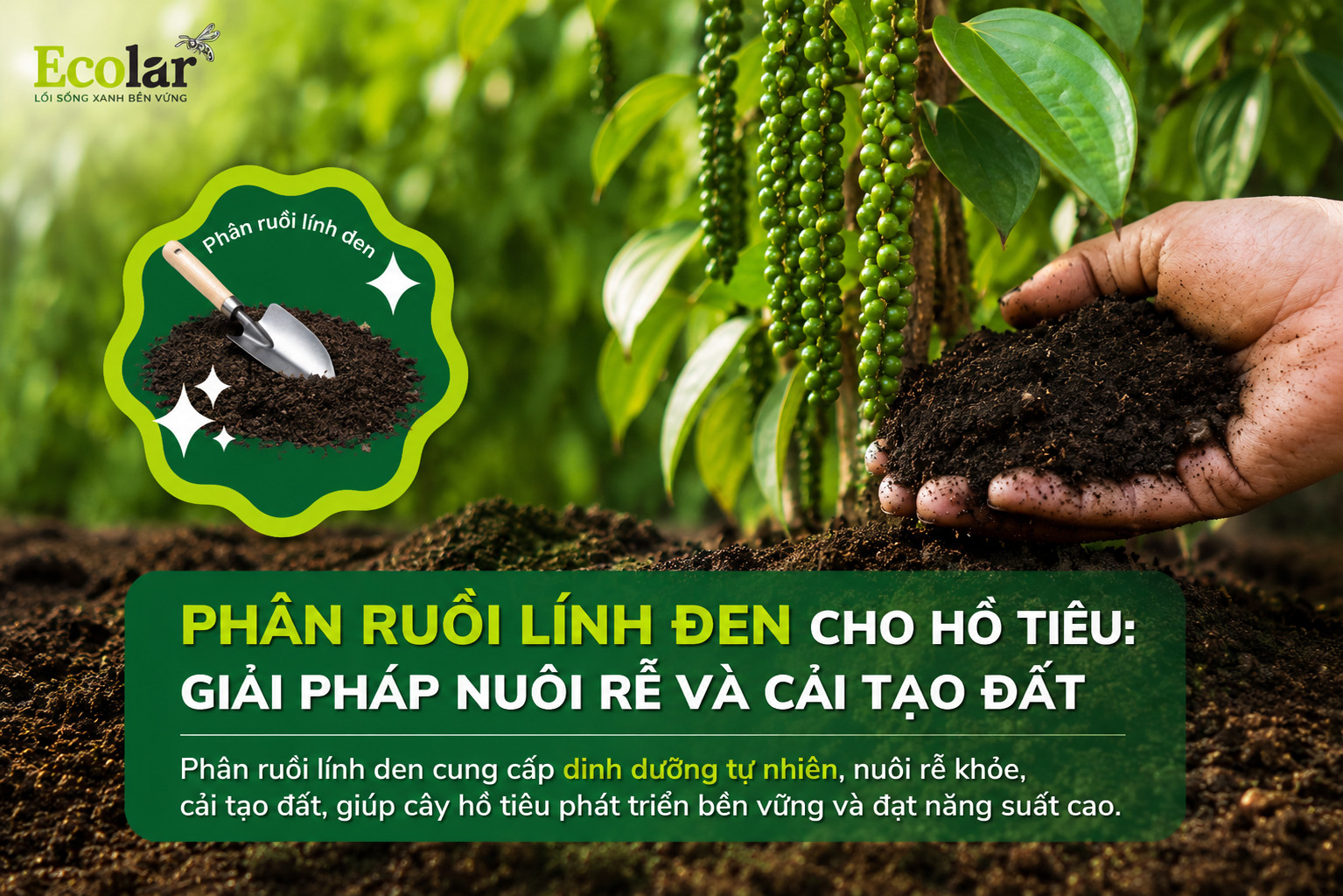 phan-ruoi-linh-den-cho-ho-tieu-giai-phap-nuoi-re-va-cai-tao-dat_348fc32258a440f0b26e49e131717019.jpg