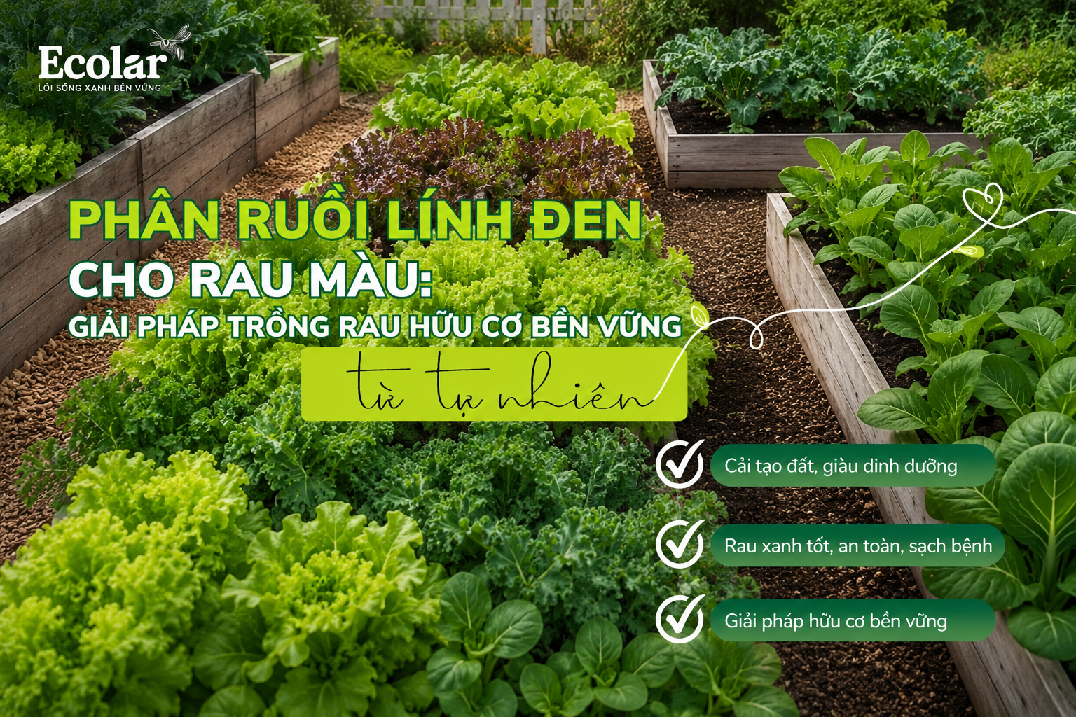 phan-ruoi-linh-den-cho-rau-mau-giai-phap-trong-rau-huu-co-ben-vung_56e13dadd20b4e3e94e4c3c0a11...png