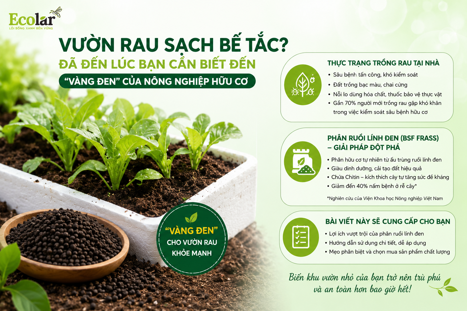 t-den-vang-den-cua-nong-nghiep-huu-co_d7dfa42cc856491c84351082bdf56bee.png