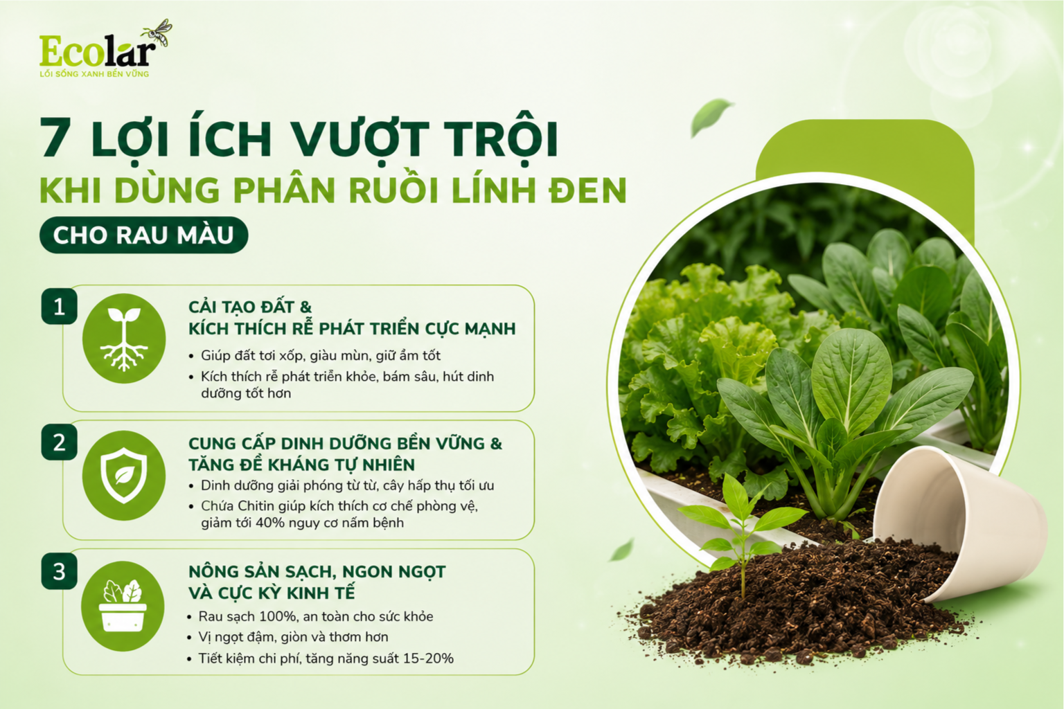 i-dung-phan-ruoi-linh-den-cho-rau-mau_bbd405ea7af3476191245386a277a95d.png