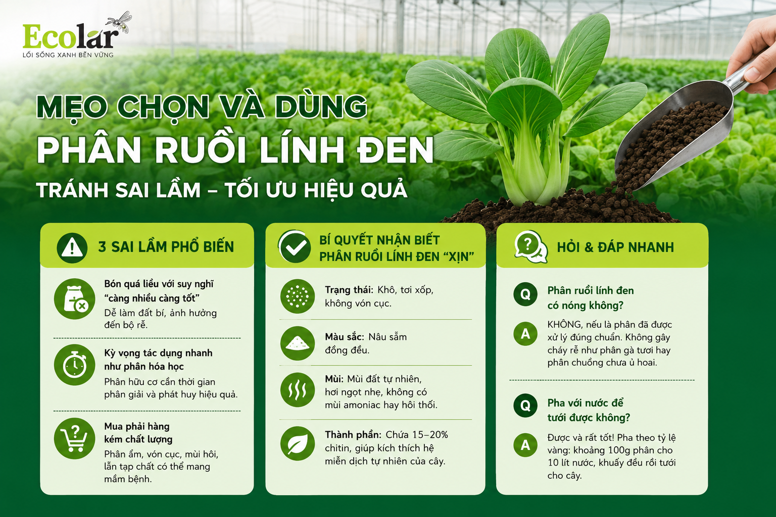 a-meo-chon-va-dung-phan-ruoi-linh-den_9fd09869b5e143b38495f10978831f29.png