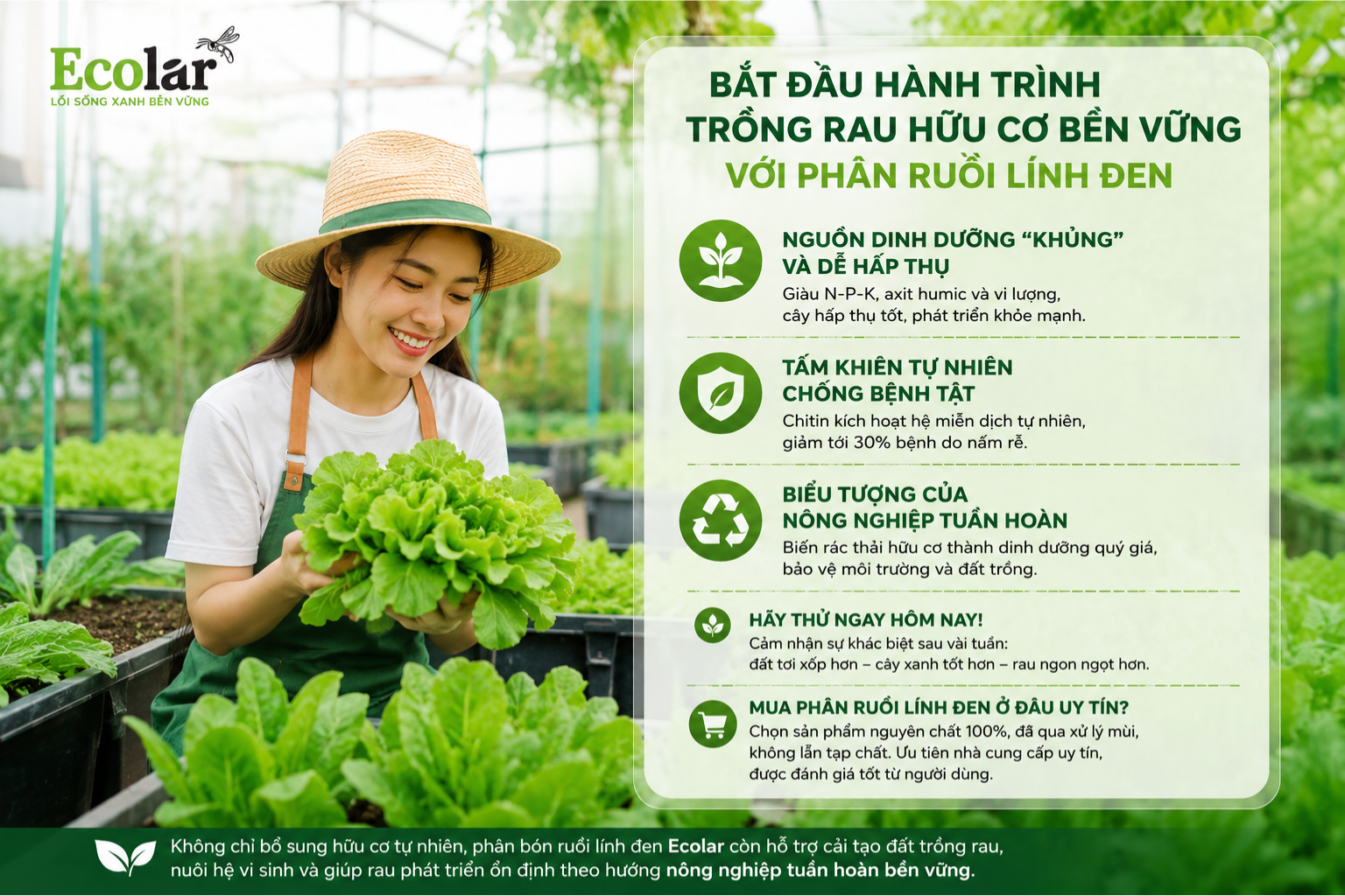 uu-co-ben-vung-voi-phan-ruoi-linh-den_539ca58206b14b39a8ca15c70eae80d7.png
