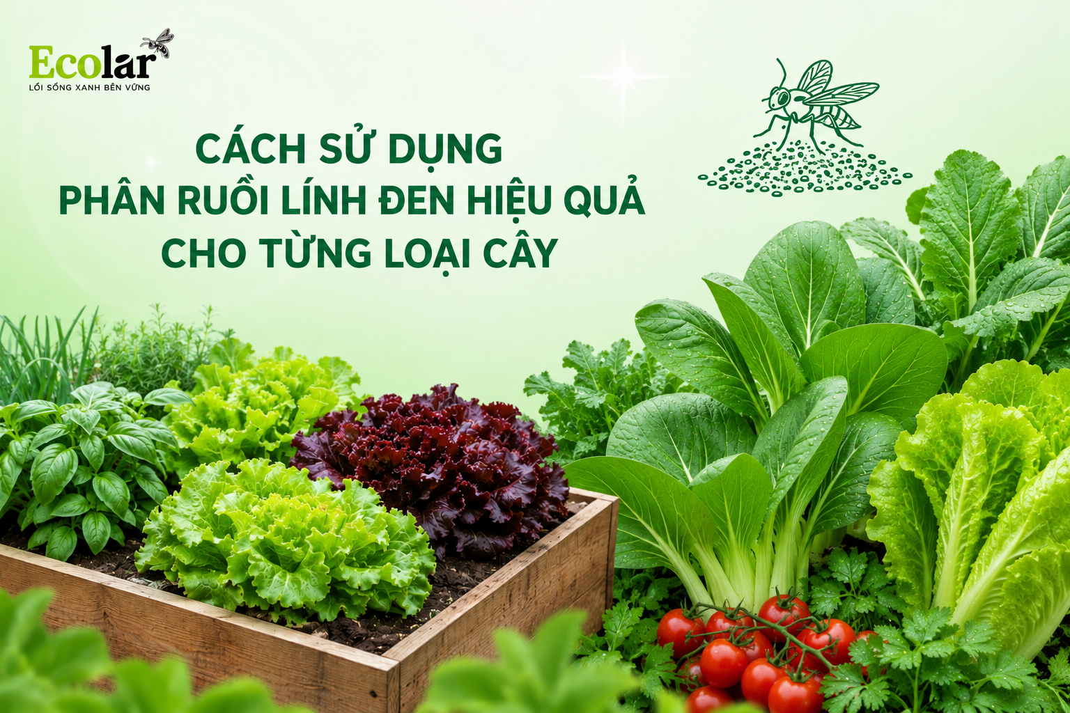 cach-su-dung-phan-ruoi-linh-den-hieu-qua-cho-tung-loai-cay_e2eb4626e5f046d7bb91e5ed88bd4a76.png