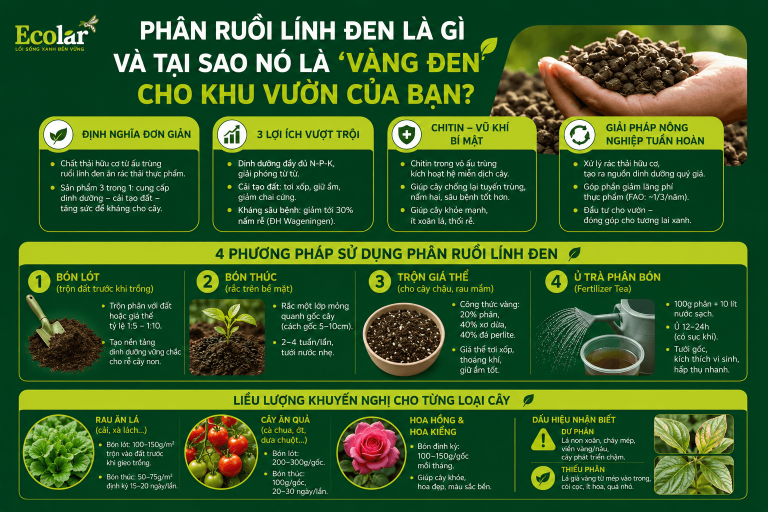o-no-la-vang-den-cho-khu-vuon-cua-ban_fb9cb7e7690c474da07fca6daebdc422 (1).png