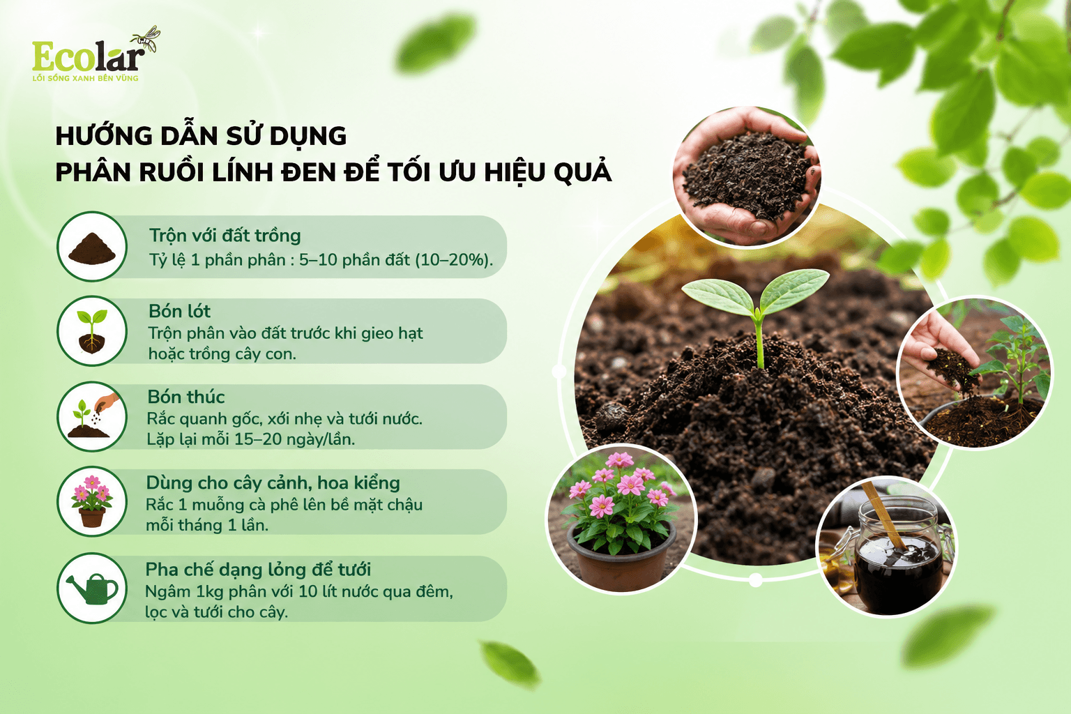 phan-ruoi-linh-den-de-toi-uu-hieu-qua_317039f403f24085b3ea272d033beee6 (1).png