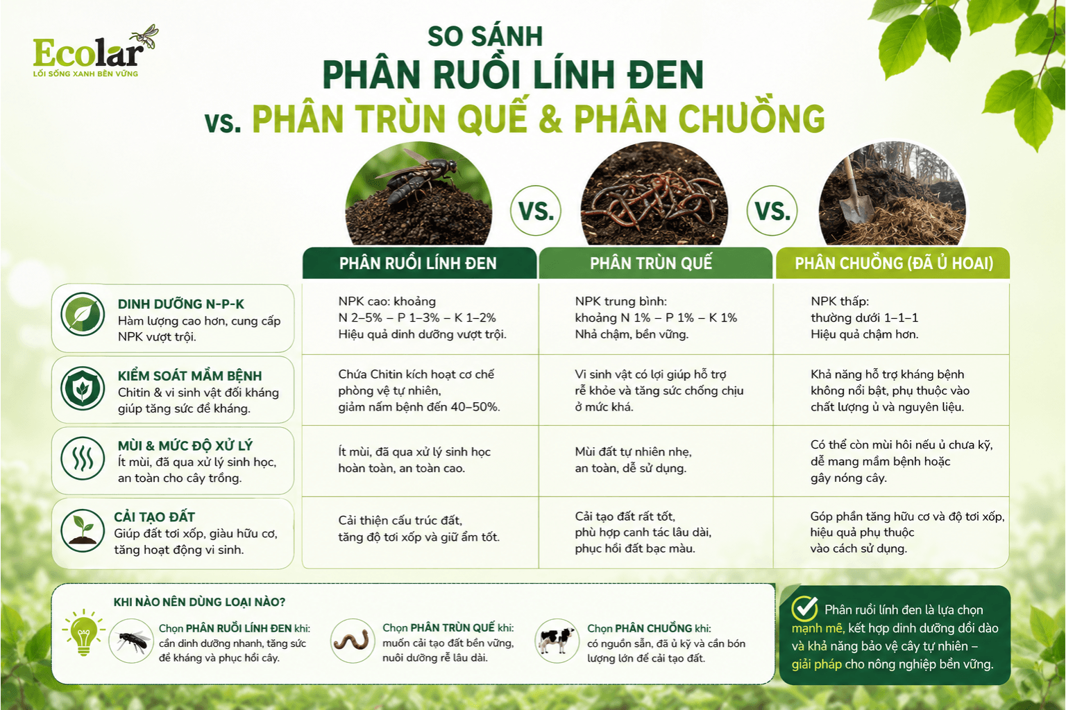 -den-voi-phan-trun-que-va-phan-chuong_587d2f88d6264be18bb44cdbd66650f4 (1).png