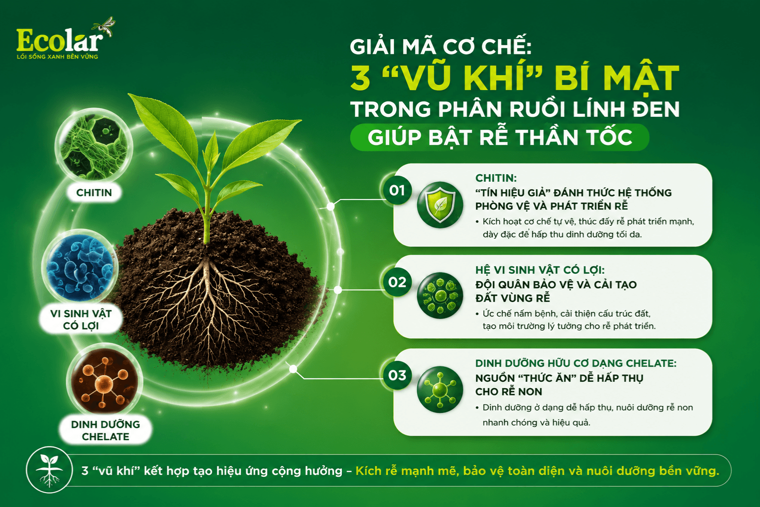 -trong-phan-ruoi-linh-den-giup-bat-re_aed0a9a0efea4ead8cbb4642ba6c9d20 (1).png