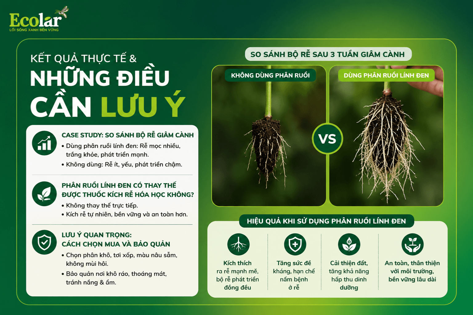 t-qua-thuc-te-va-nhung-dieu-can-luu-y_327152dbaedc4242a46e422d6ca90d6d (1).png