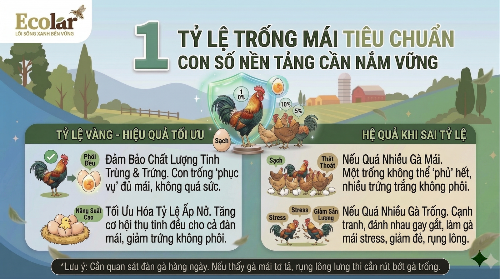 eu-chuan-con-so-nen-tang-can-nam-vung_6092d487b7f34965af929a658f588d62.png